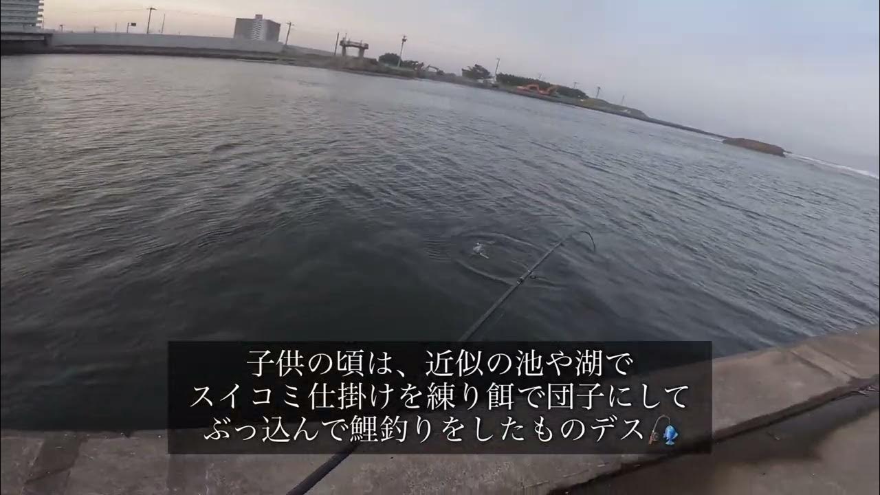 河口でまさかの魚が 南白亀川河口 5月下旬 Youtube