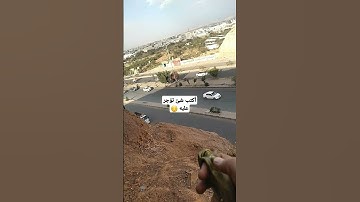 إنا انزلناه في ليلة القدر #سورة_القدر #انا_انزلناه_في_ليلة_القدر #ليلة_القدر #القرآن_الكريم #اكسبلور