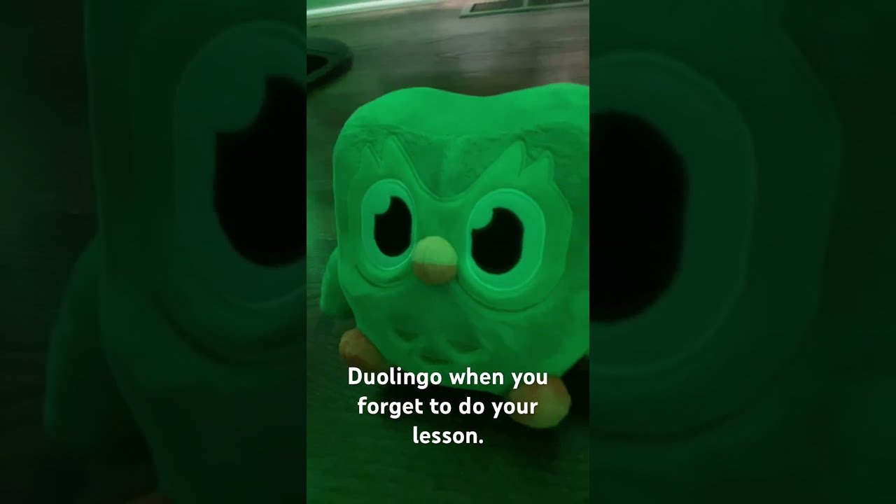 Oops He Might Be A Bit Mad Now Fyp Duolingo