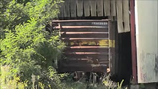Abandoned railcar moved after 10 years!  First train on Gallo Siding  Sagamore, MA  10/16/2023