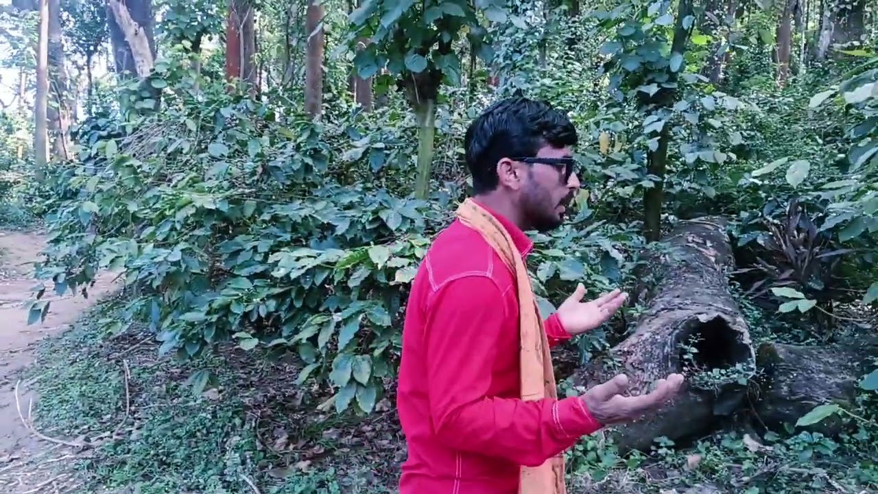 পাখি# পোষ মানে না রে #Pakhi Pushp# Mane Na re