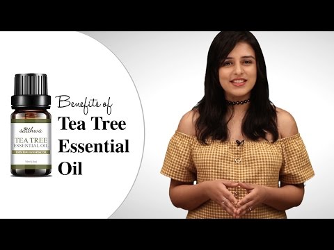 Top 4 benefits of Tea Tree Essential oil (Melaleuca Oil) & How you should use it! | टी ट्री ऑयल