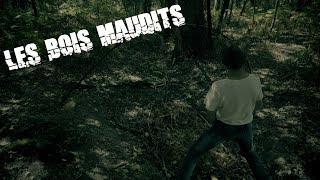 Les bois Maudits