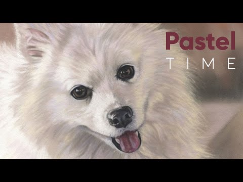 White Spitz Dog Portrait in Soft Pastel - Timelapse