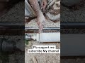 art and crafts videos #amazing #ytshorts #art