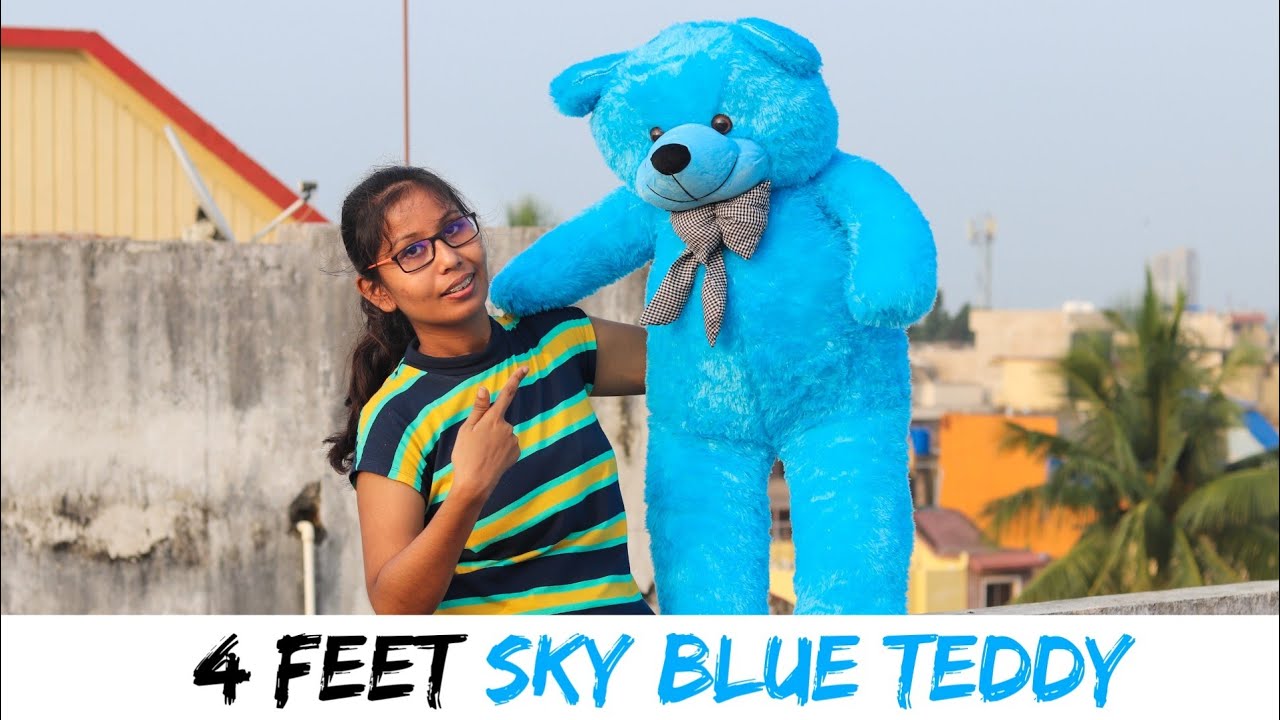 4feet teddy