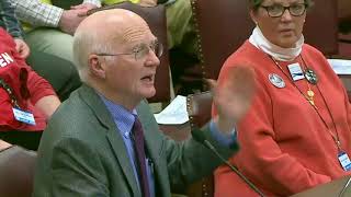Senate Confronts Gun Violence: A Call for Red Flag Laws