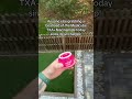 Master Memorial Day Shopping Finds on TikTok Shop! #TikTokShopStockUp #BigDreamsStartSmall