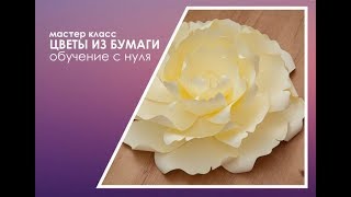 Бесплатный мастер-класс по созданию Бумажных цветов с пушистыми серединками Бесплатный мастер-класс по созданию Бумажных цветов с пушистыми серединками
