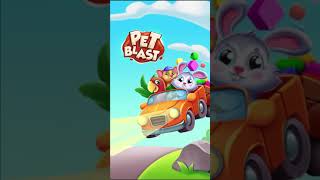 Pet Blast - Match3 Game - Fun Puzzles screenshot 4