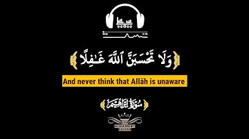ولا تحسبن الله غافلا عما يعمل الظالمون | أروع تلاوات القارئ نايف الفيصل، كروما ملونة جودة عالية. 