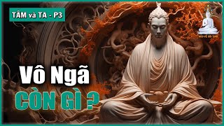 Vô Ngã Còn Gì? | Tâm và Ta – phần 3