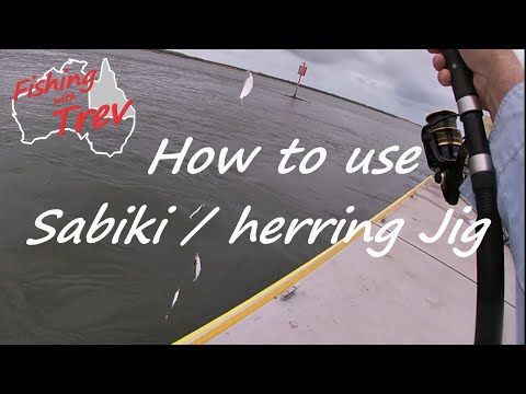 How to use a Sabiki Rig / Herring Jig