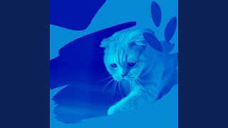 Fantastic Music for Cats Jukebox