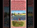 L'ARTE NAIF E I FIORI: Petrovic Generalic Rabuzin Ritoša Martani Enrico Copetta Mary Consolini