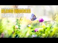 432 Hz !! Lucky You Relaxing Music ! Frequencies & Piano Music For Meditation ! Listen While Sleep