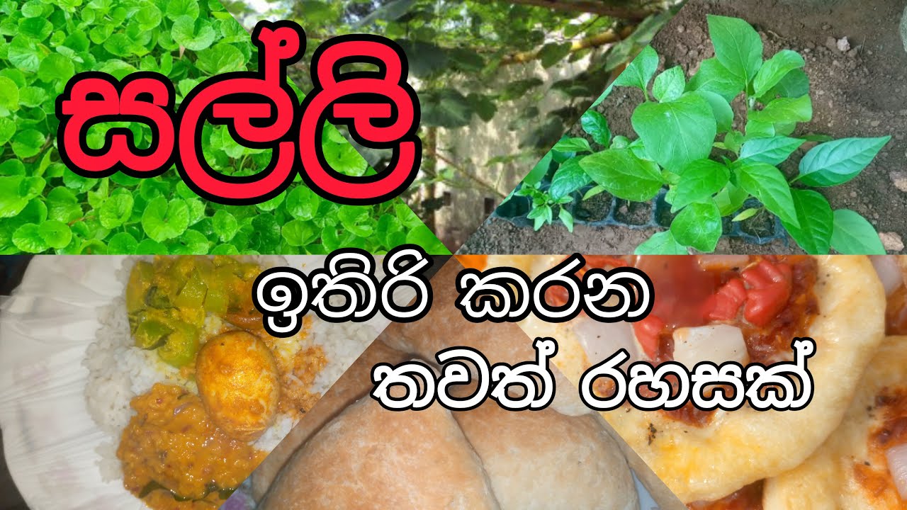 මාසික වියදම පාලනය කරමුු  _නිරෝගී පවුලක් ගොඩනගමු. | Simple lifestyle to save more money | Sinhala