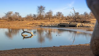 iThumbela Photographic Bunker | Makumu Private Luxury Safari Lodge | Award Winning Marketing Video