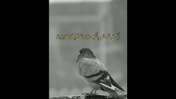 #قرآن_كريم #تلاوة_هادئة #راحة_نفسية #quran #صوت_جميل #احمد_العجمي