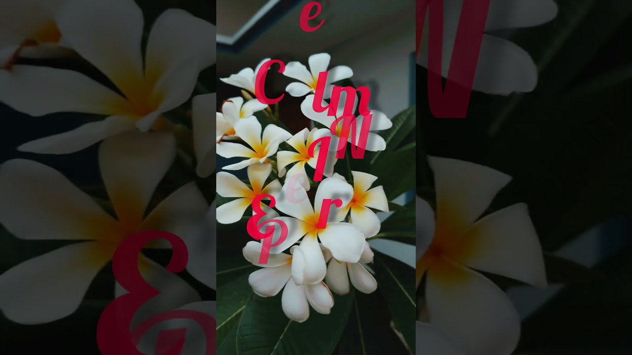 Feel relaxing moment with flowers 