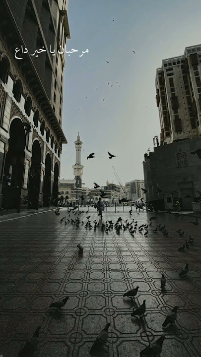 thola'al badru alaina sholawat #sholawat