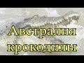 Крокодилы в Дарвине Австралия