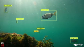 Revolutionizing Coastal Protection: AI and Nature-Inclusive Designs in Action 🌊🌿