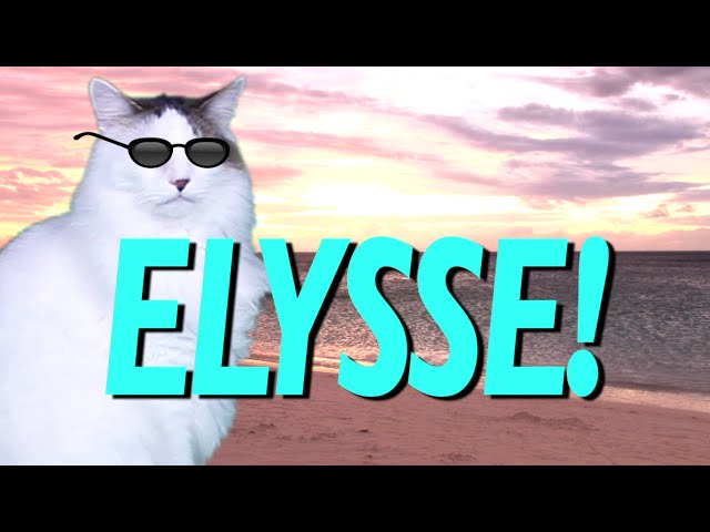 HAPPY BIRTHDAY ELYSSE! - EPIC CAT Happy Birthday Song