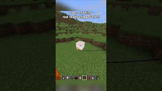 Minecraft myth busting 😳 #minecraft