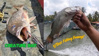 Creature Bait soft plastics are on fire at D'Best Pro Pond! | Singapore | screenshot 2