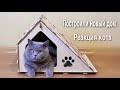 Кот в новом доме РЕАКЦИЯ КОТА / British cat in a new home