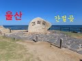 1177 탄 (231005)  울산 간절곶