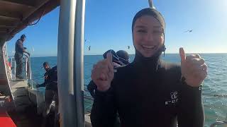 Cage Diving with GREAT WHITE SHARKS in Gansbaai, South Africa 🇿🇦