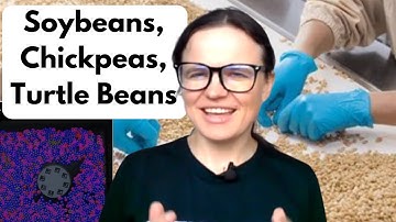 AI in Agriculture: Seed Quality Assurance with Computer Vision—Soybean Size, Color & Count in 5 Min