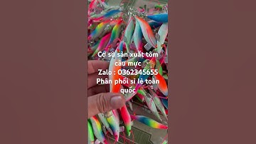 Tôm câu mực lá mẫu sacừ bóng