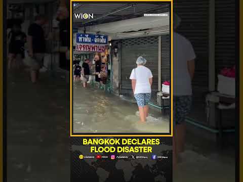 Bangkok Declares Flood Disaster Amid Heavy Rainfall | WION Shorts
