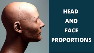 'Proportions of the face and head'. Facial proportions explained.