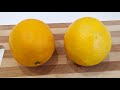 der köstlichste und delikateste Zitronenkuchen  Einfaches Rezept! # 50
