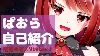 「【自己紹介】人間達～！はじめましてぱおらだよ～！！【新人Vtuber】」のサムネイル