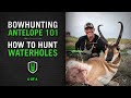 BOWHUNTING ANTELOPE 101 - HOW TO HUNT WATERHOLES