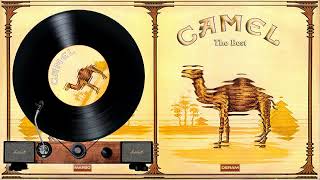 Camel -  lies