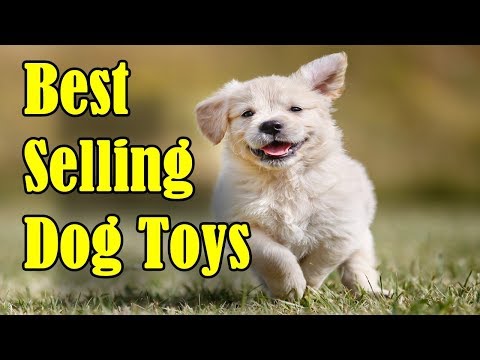 10-top-selling-dog-toys-on-amazon