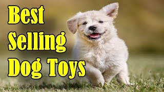 10 Top Selling Dog Toys on Amazon