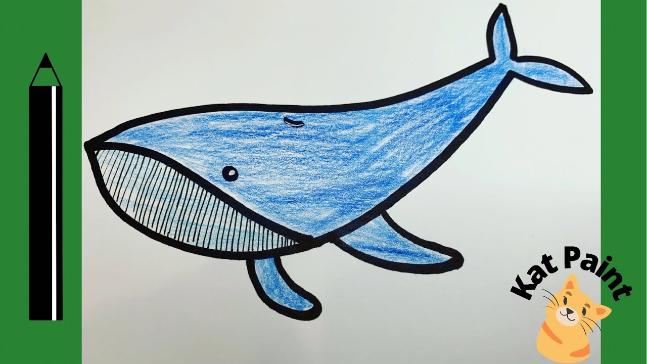 Идеи для срисовки кит красивый (90 фото)