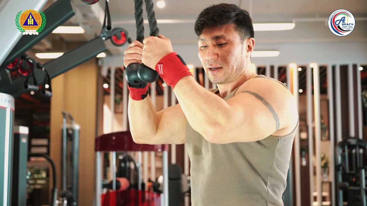 Дасгал 2.   Гарын 3 толгойт булчин