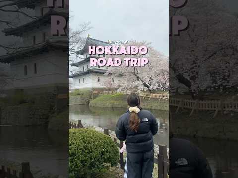 Day 3: Japan road trip in Hokkaido 🇯🇵🌸
