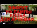 Эффект лампы, колба для артемии и куча заготовок для нерестовиков....