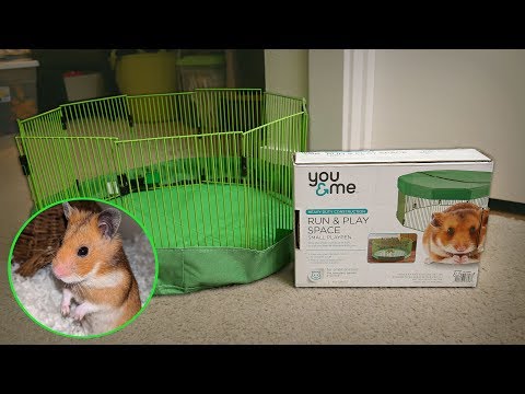 you and me guinea pig cage