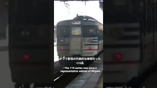 (再)信越線快速新潟行き　AM10:29  115系　2021.9.12  (Re)Shinetsu Line Rapid bound for Niigata Series 115
