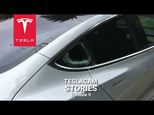 Tesla Sentry Mode surveillance system helps catch a vandal slashing tires